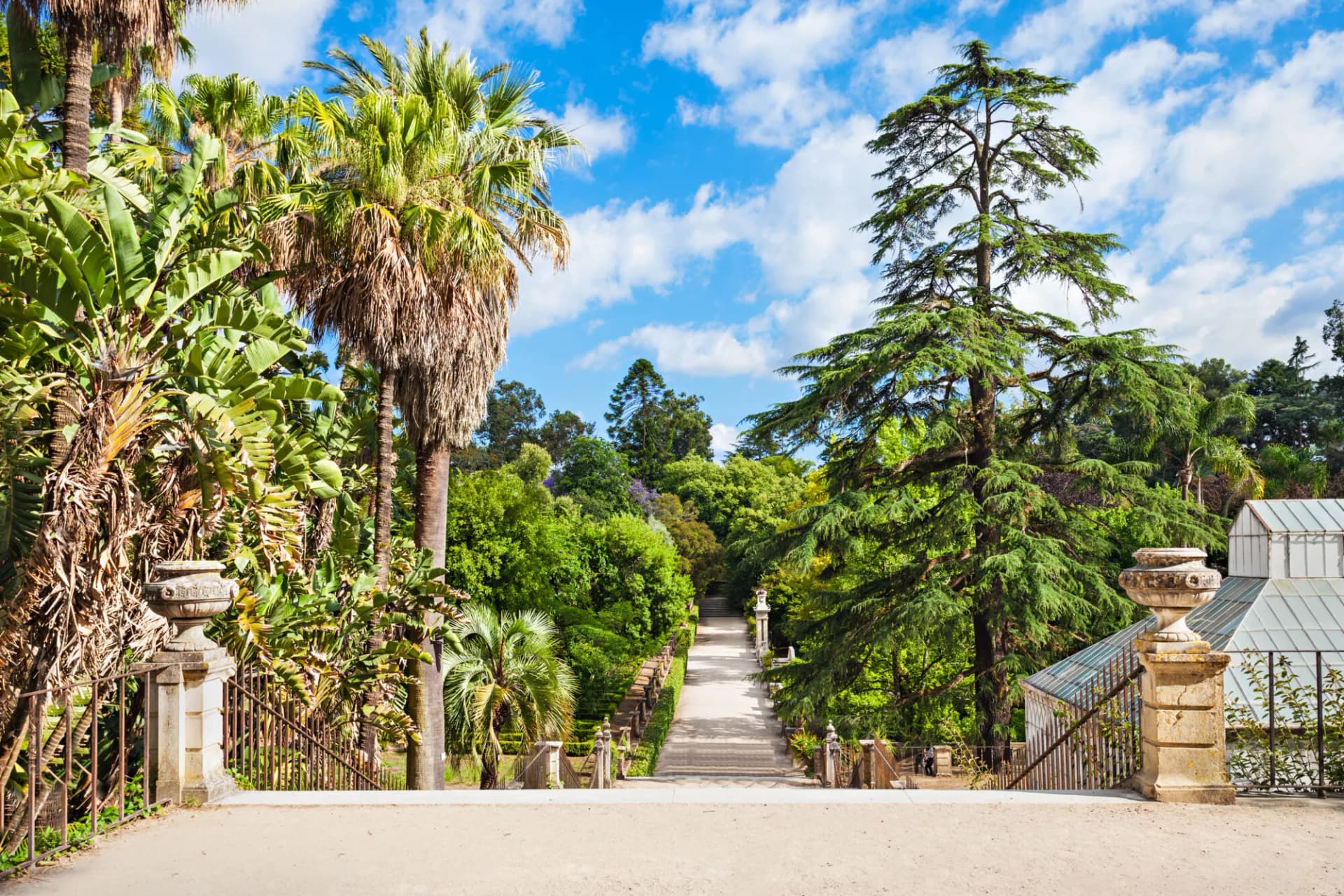 Botanical garden coimbra