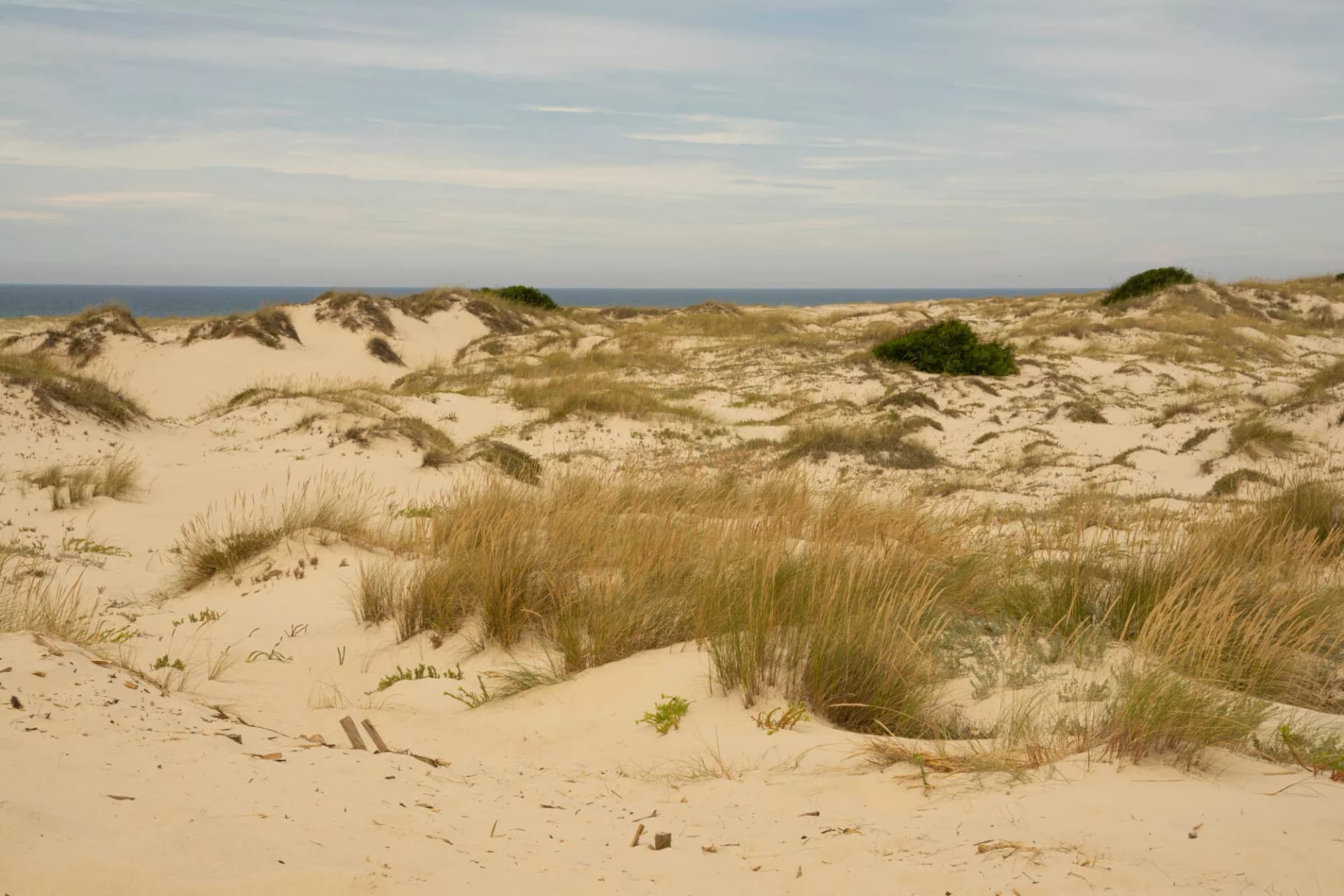 São jacinto natural reserve dunes