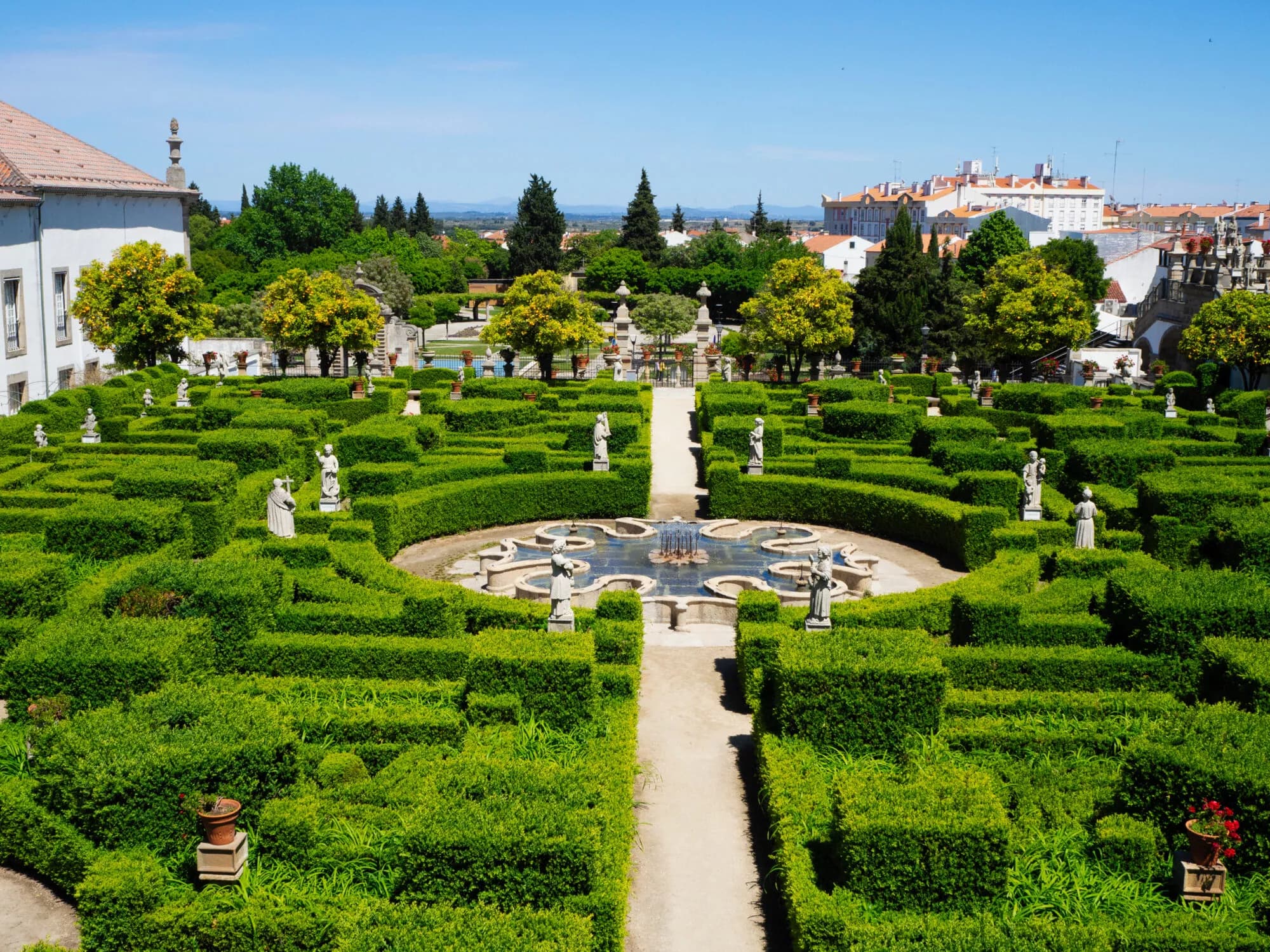 Botanical garden of the university of coimbra