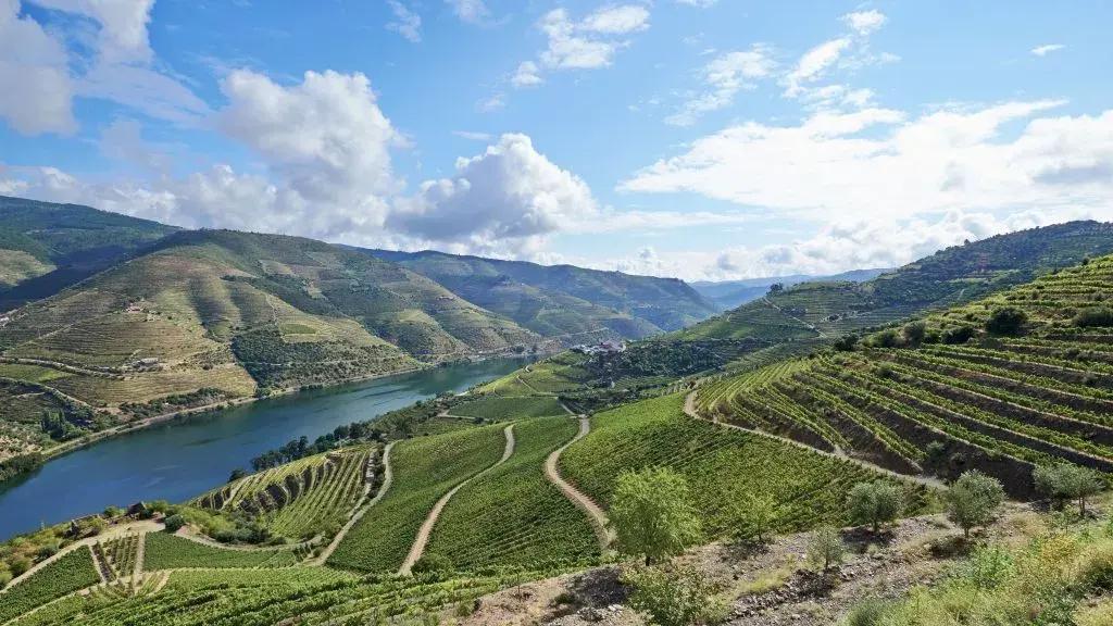 Douro-dalen