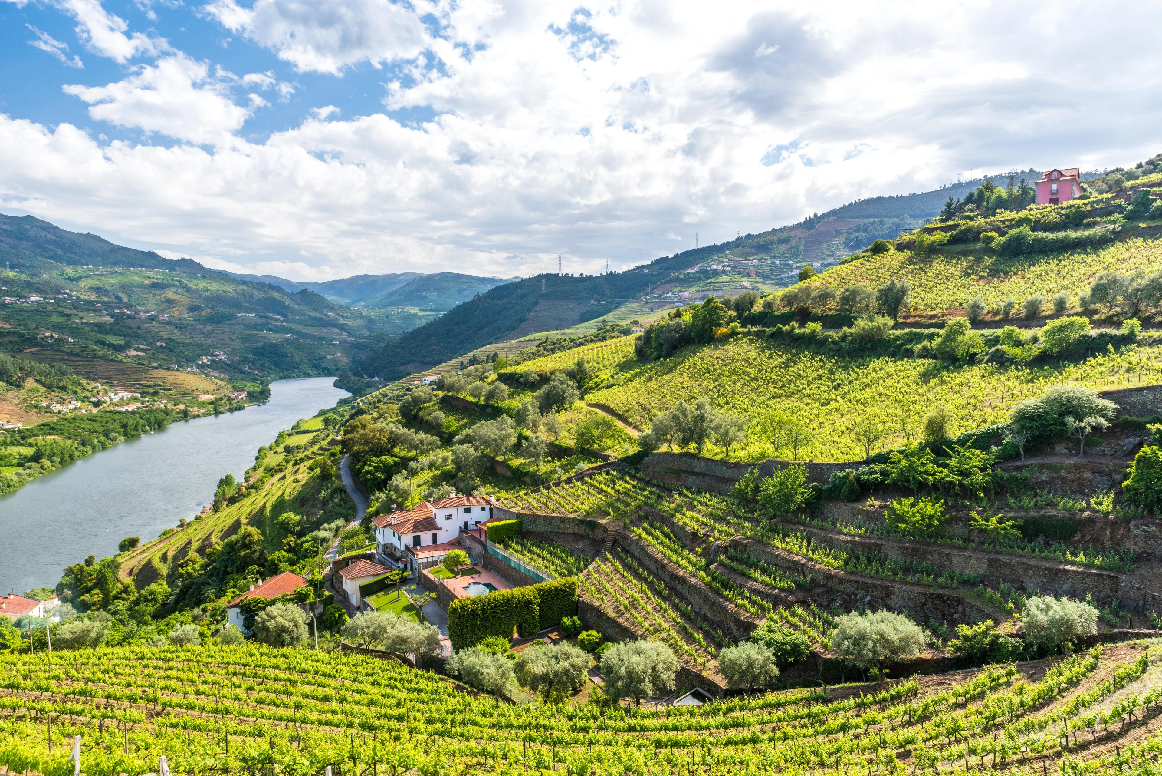 Douro Miraduros image 1