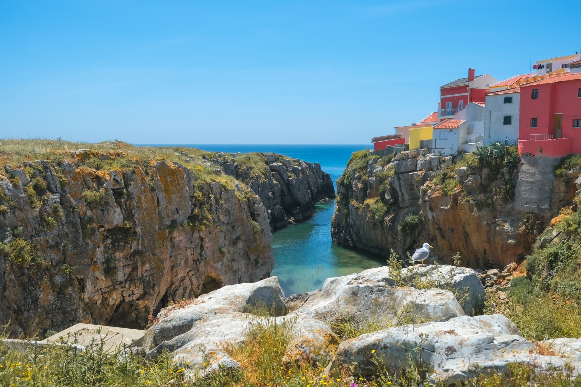 Coastal inlet in Peniche with colorful houses atop rugged cliffs and a seagull.