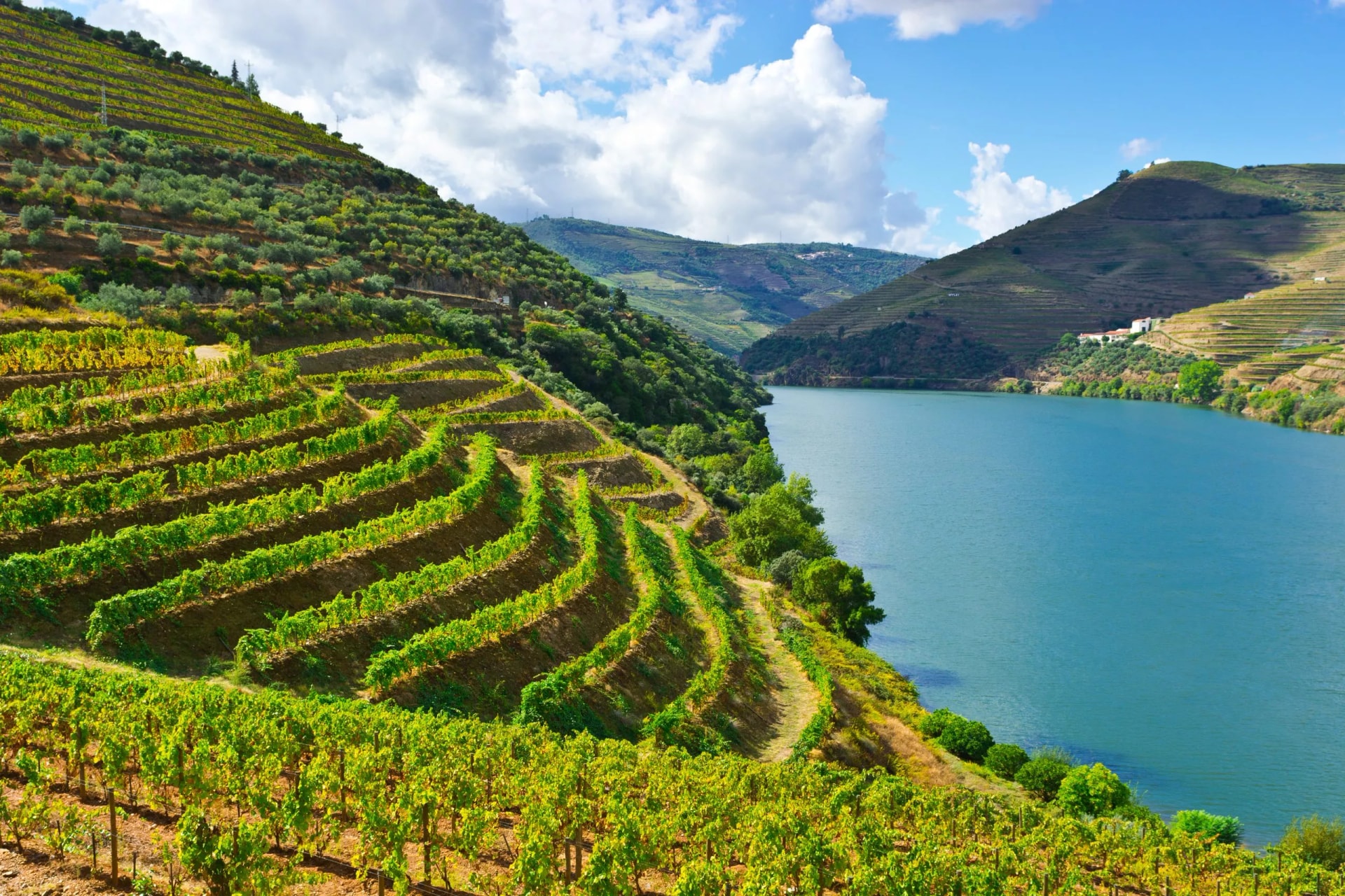 Douro Valley Cykeltur