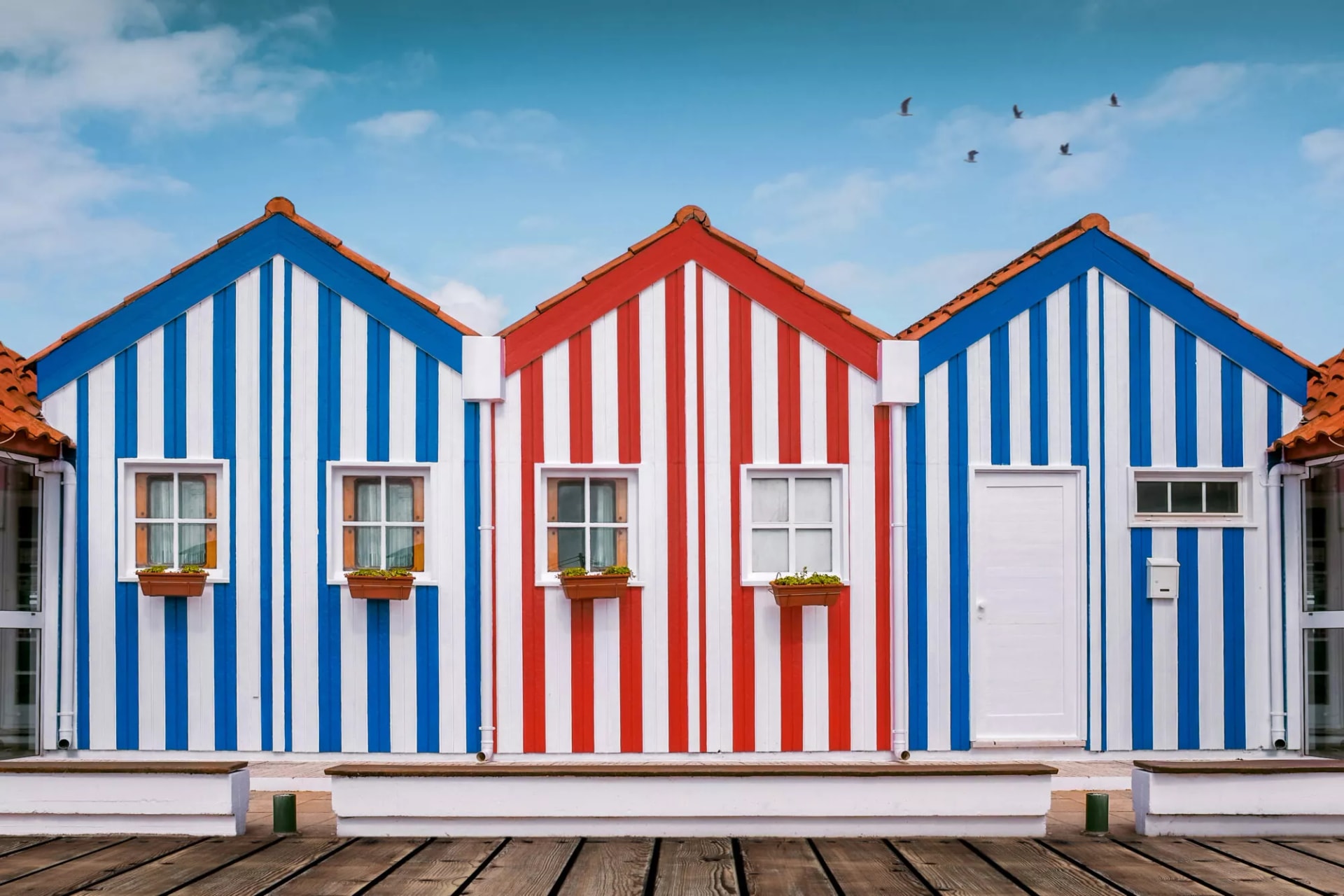 Costa nova houses
