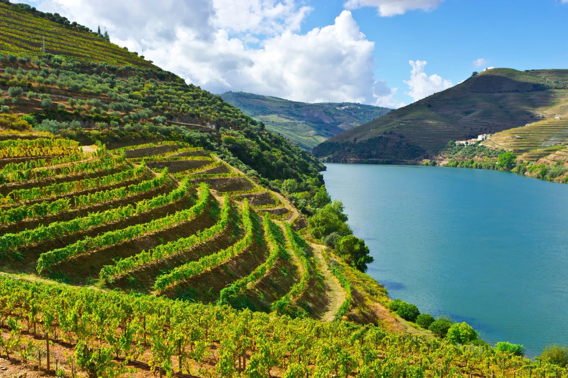 Douro Valley Bike Tour