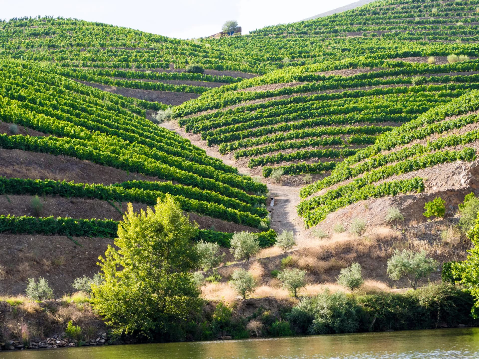 Saddle up for a memorable adventure through Douro