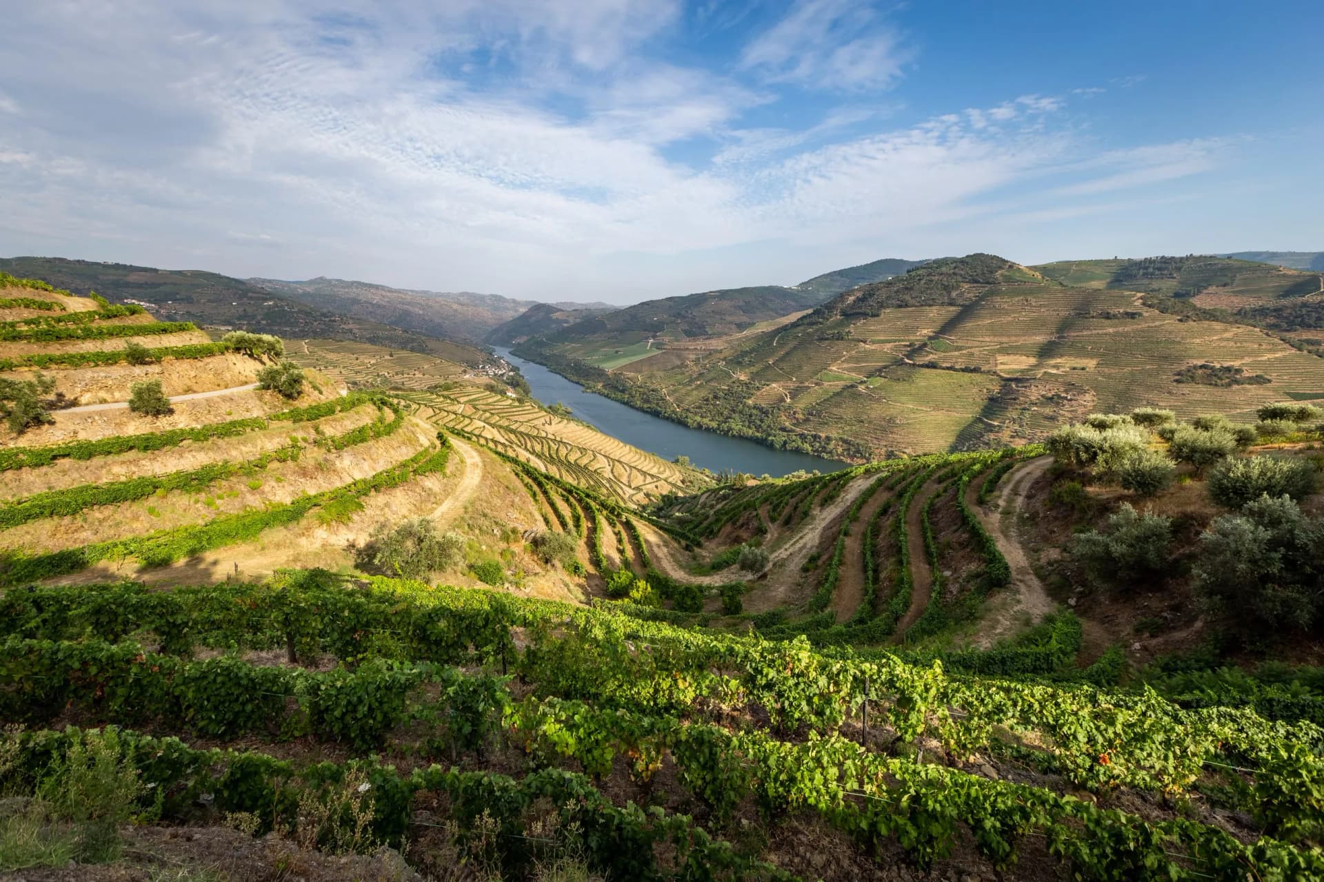 Unveil the heart of Portugal on a bike