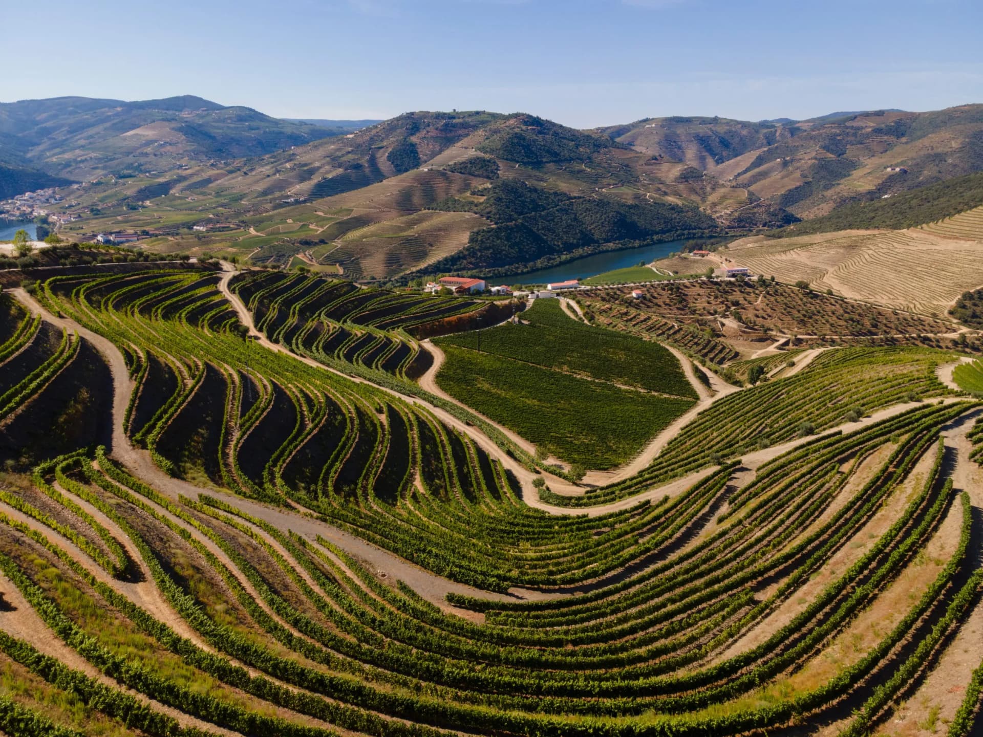 Douro Valley near Pinhão