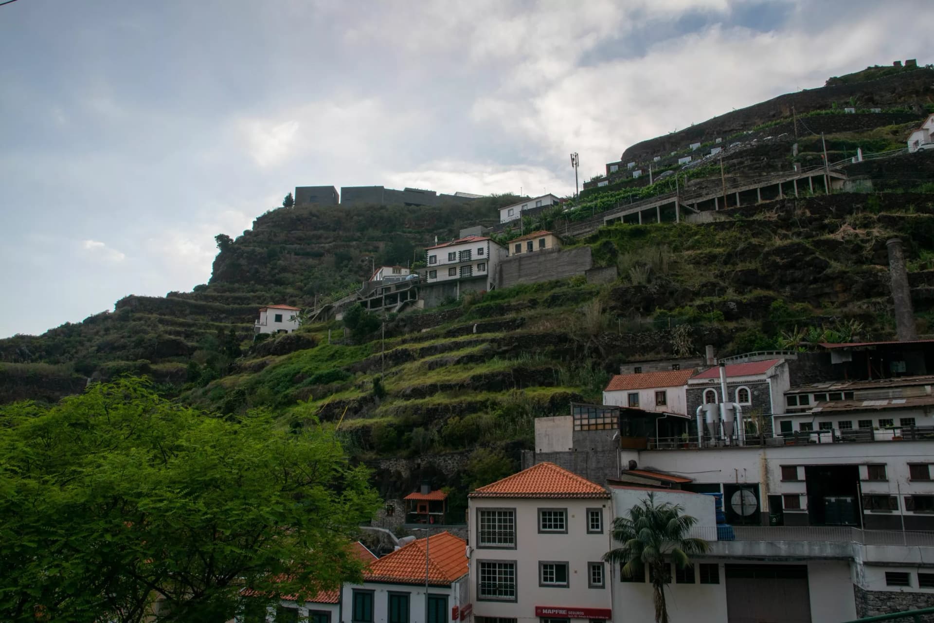 Houses and tropical nature with mountains in Estreito da Calheta