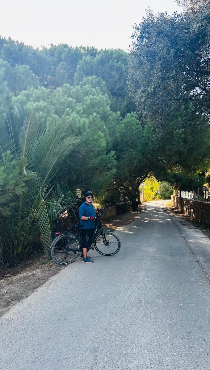Cyclist standing with bicycle on paved country road lined with trees and palm foliage