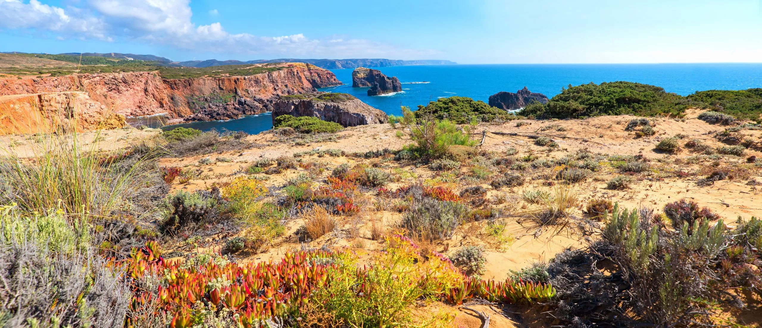 beautiful costa vicentina with colorful vegetation, Carrapateira west algarve