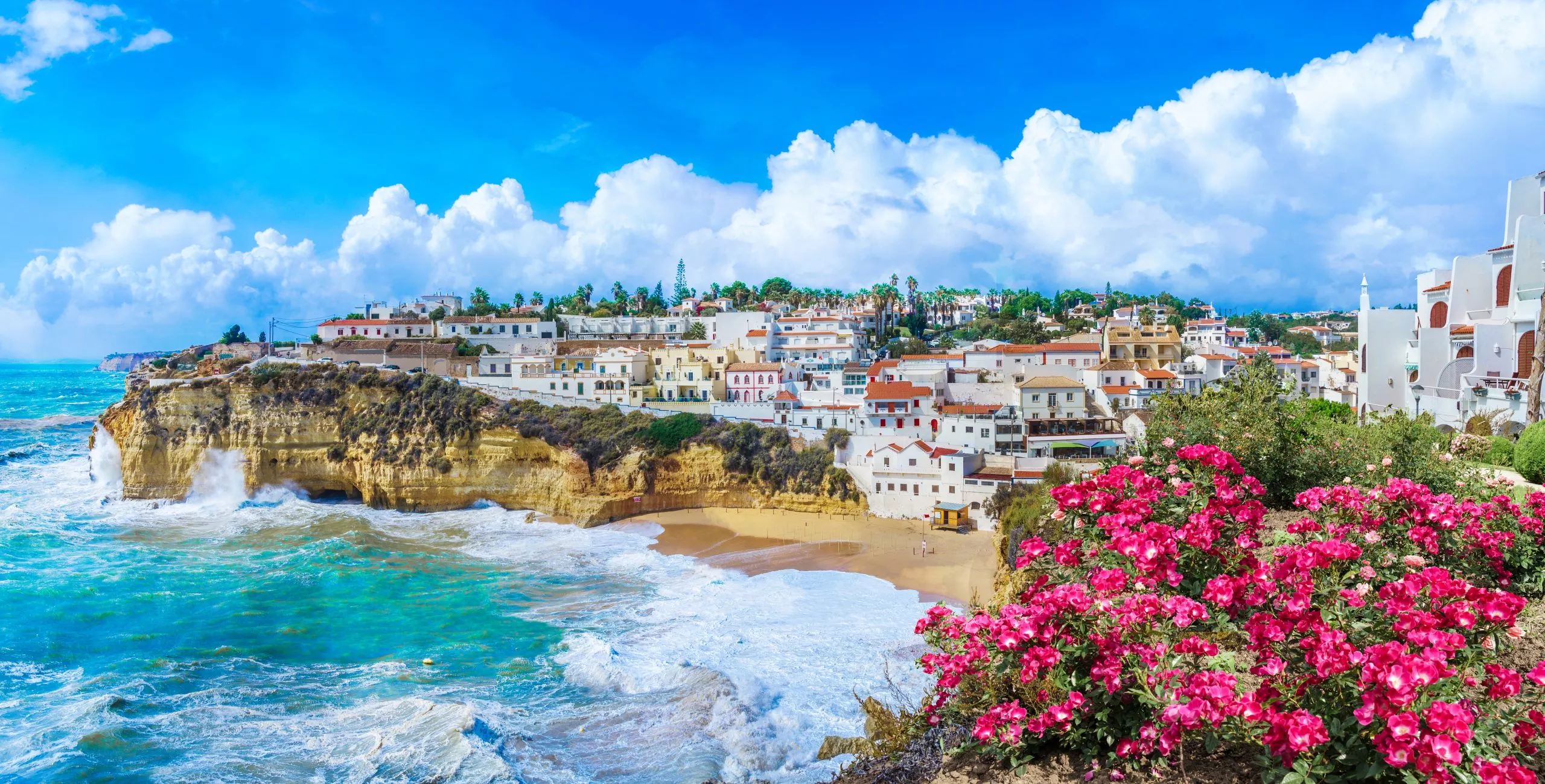 Elevate your adventure along the scenic shores