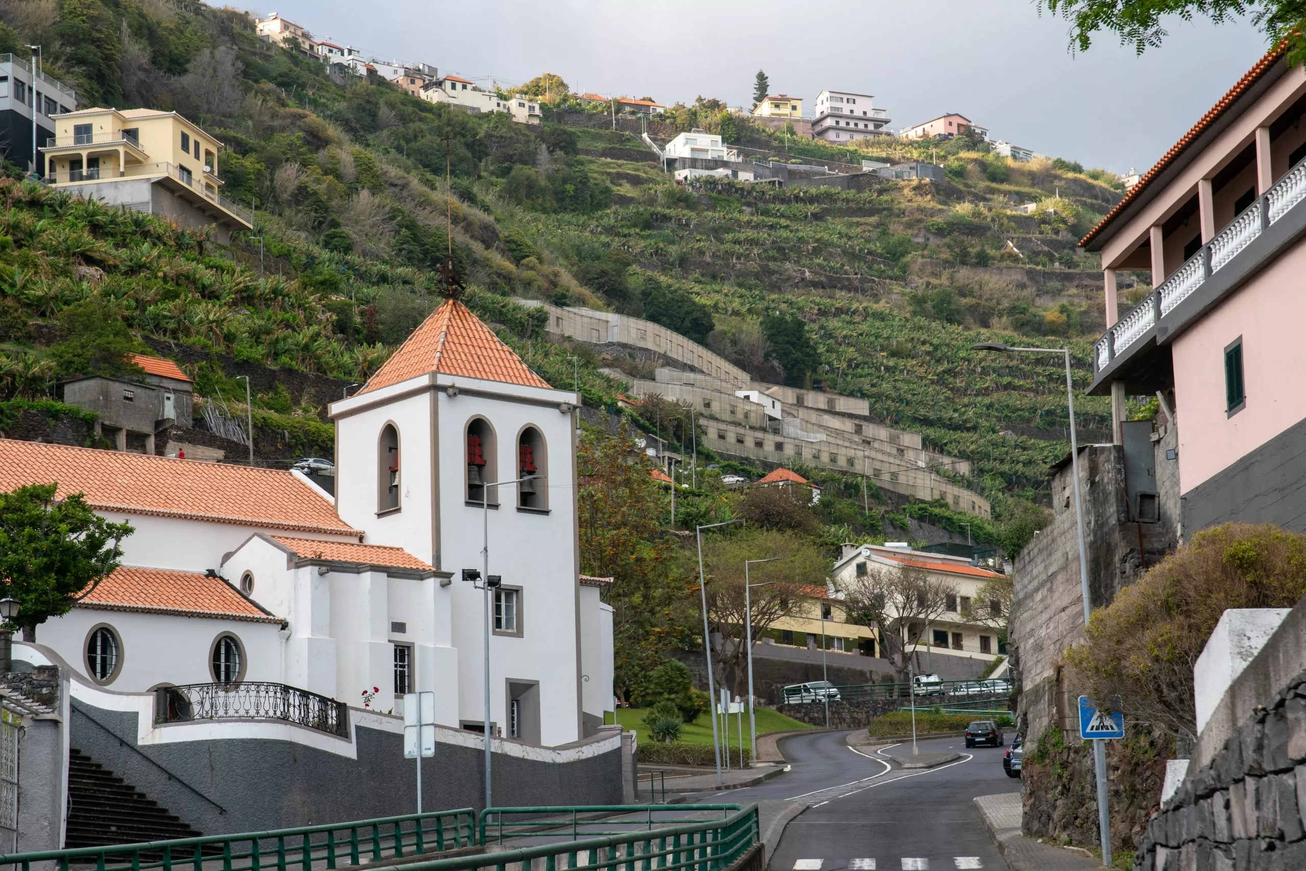 Houses and tropical nature with mountains in Estreito da Calheta
