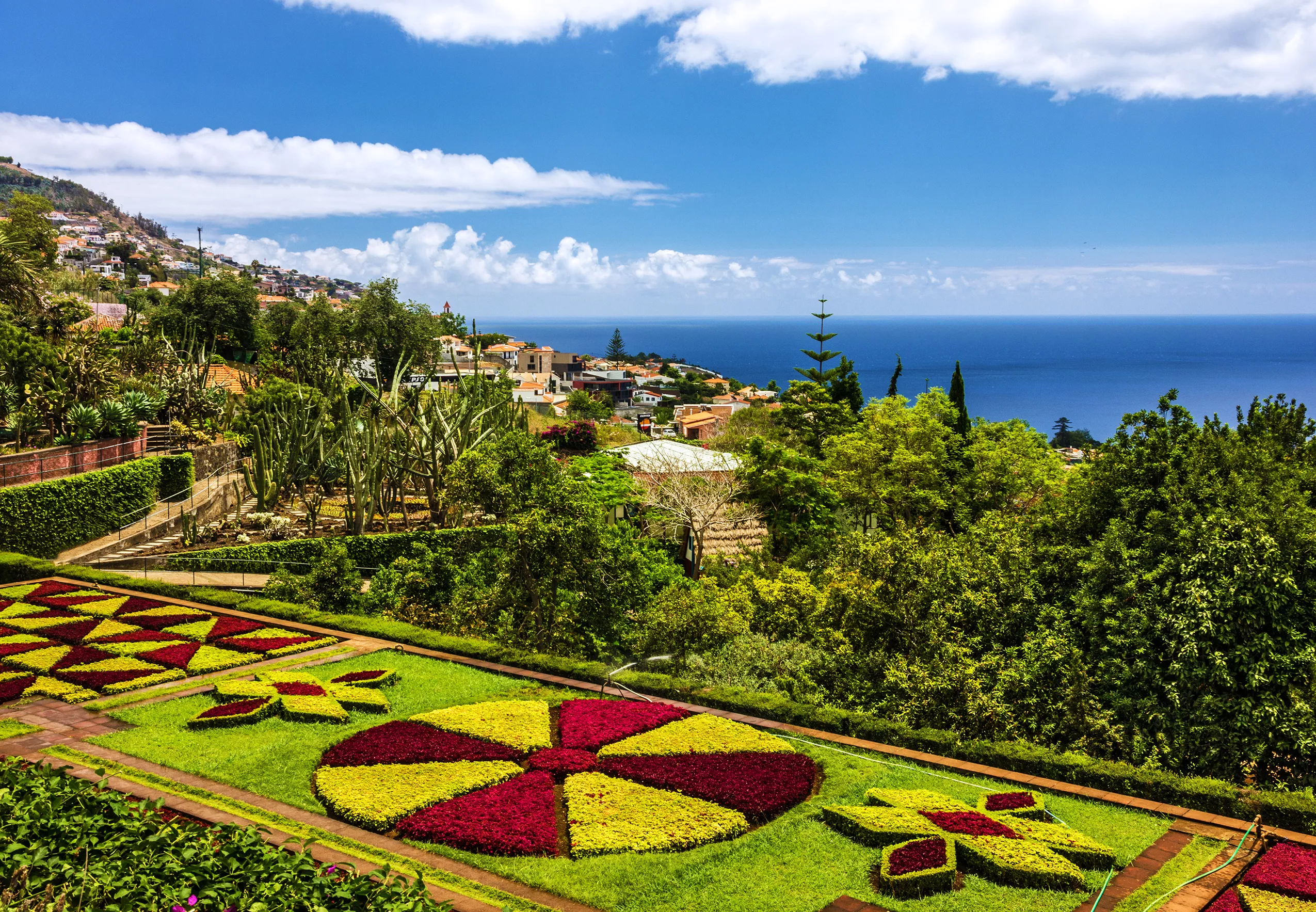 Madeira island: botanical garden Monte, Funchal, Portugal