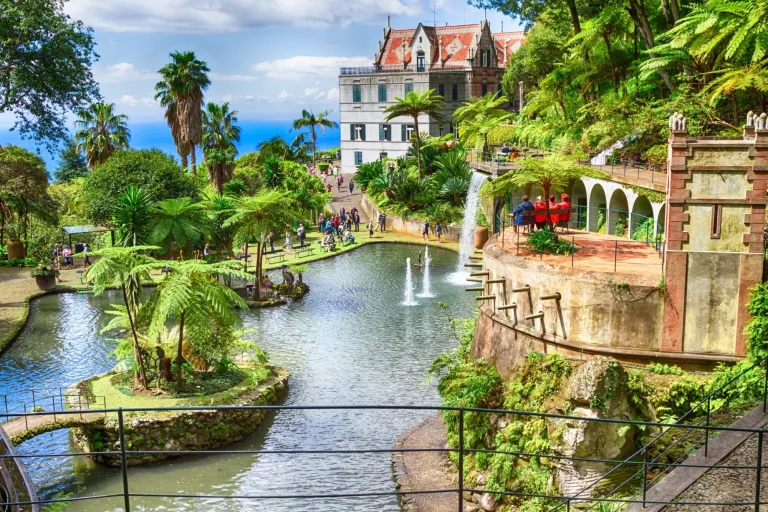 Pedal through the heart of Madeira's beauty