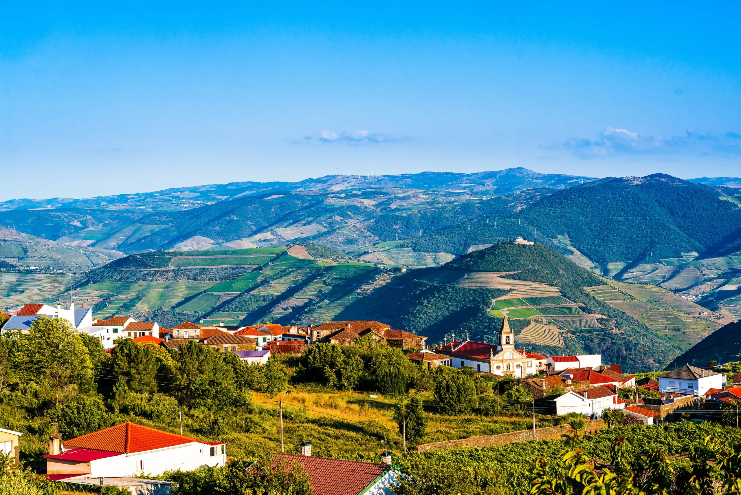 View on Vineyard in Provesende village in the Douro Valley region, Portugal
